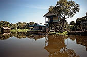 Tonle Sap - Kampong Phluk floating village - stilted houses